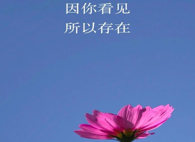 2018，移动互联网既成往事