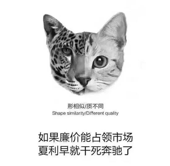 qn7I-hryfqhk5202236.jpg