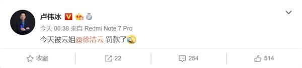 卢伟冰因工作原因被处罚 罚款金额不详