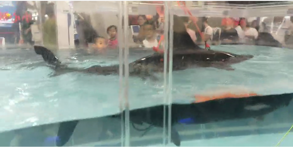 微信截图_20190823194527.png