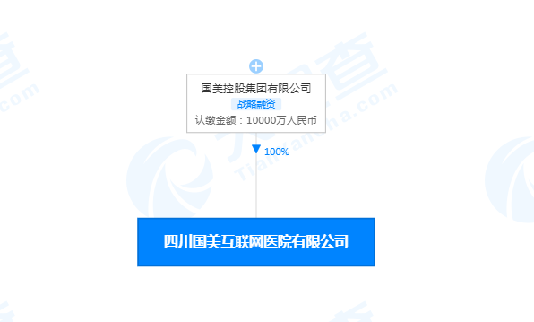国美控股公司成立四川国美互联网医院有限公司