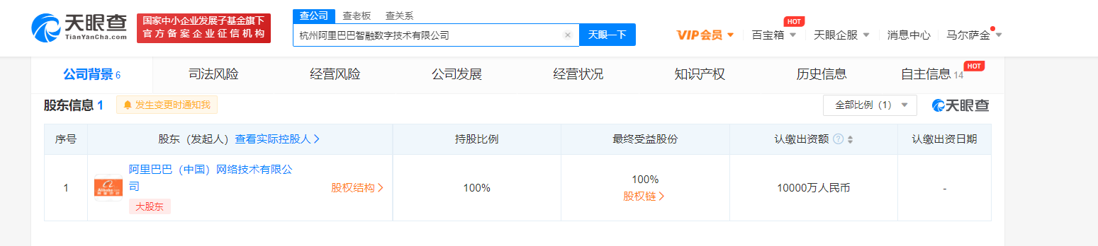阿里成立智融数字公司，注册资本1亿元