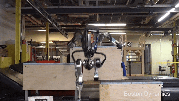 timg.gif