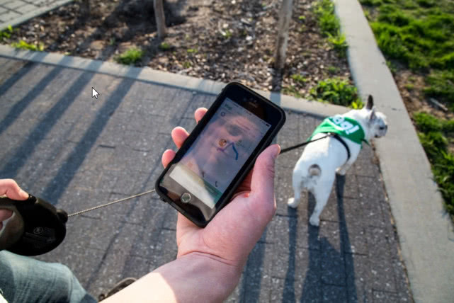 641328.jpeg 641.jpeg