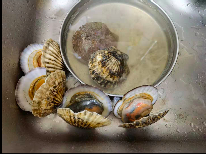 截屏2021-03-05 19.17.56.png