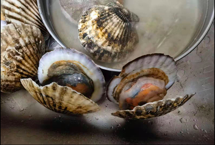 截屏2021-03-05 19.17.47.png