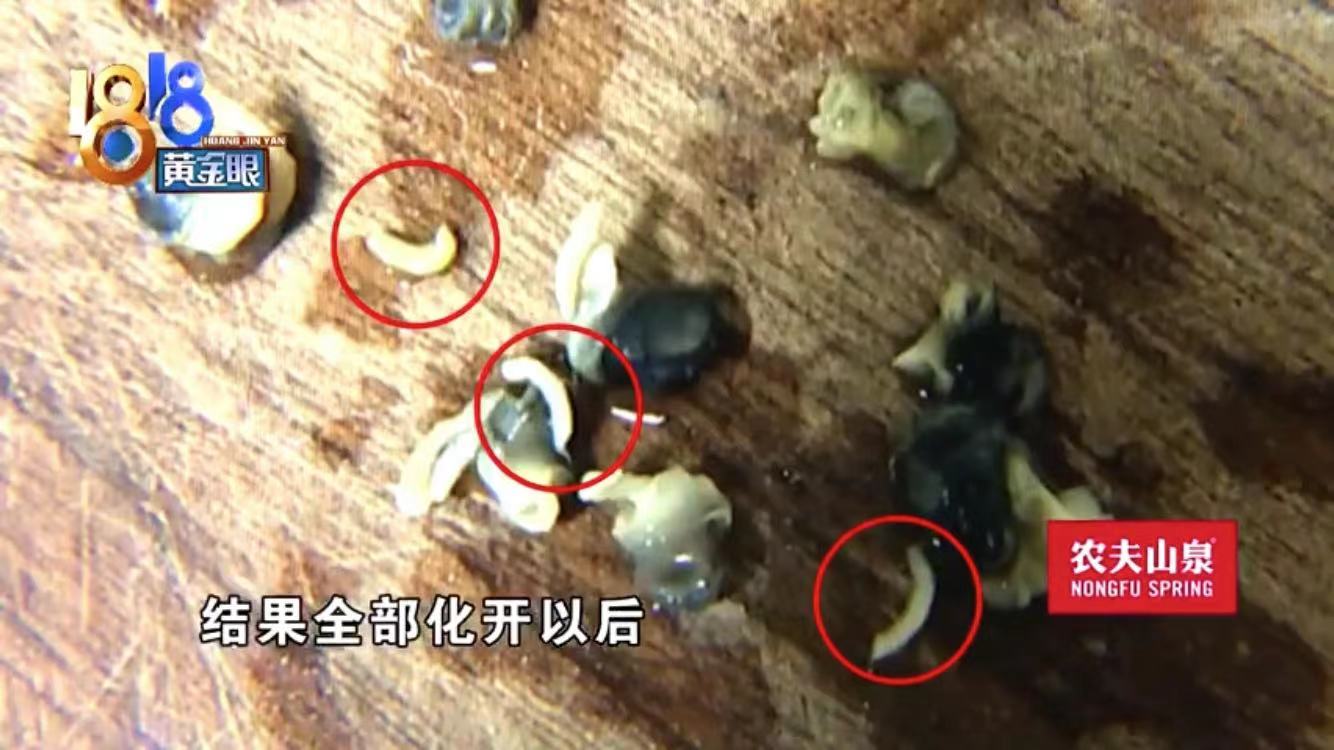 WechatIMG4.jpeg WechatIMG4.jpeg