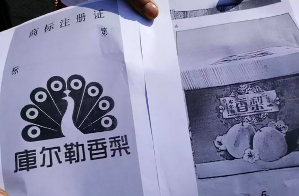 截屏2021-11-25 22.43.191.png 截屏2021-11-25 22.43.19.png