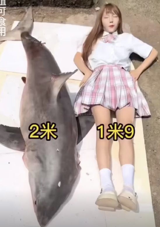 84F3E48E-4399-4B34-BDE3-7B9DEC44C33F.jpeg