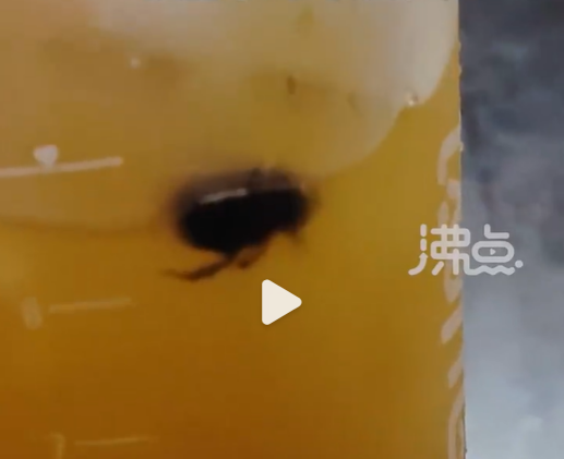 微信图片_20230505113523.png