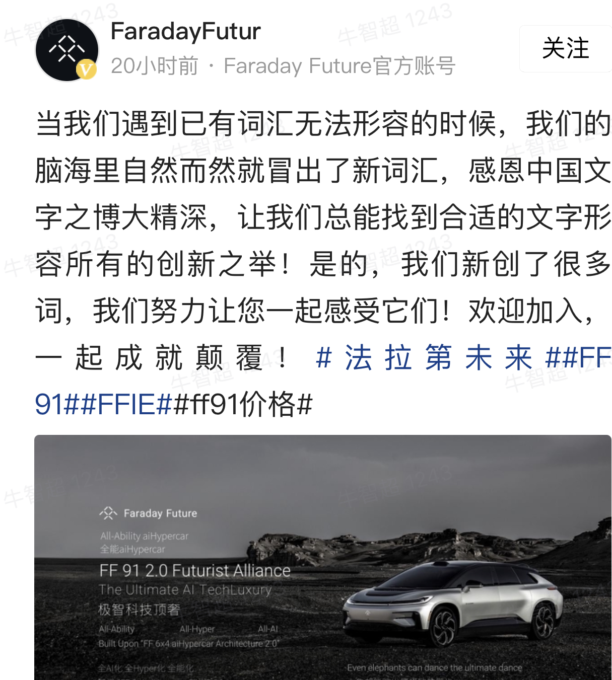 BECD1611-7D3B-4988-90E6-9E2224F9139F.jpeg