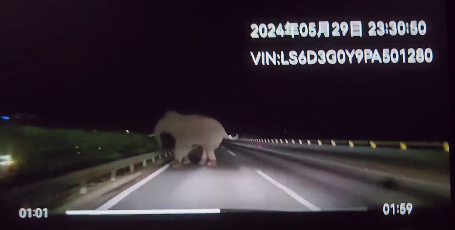 微信截图_20240530152943.png