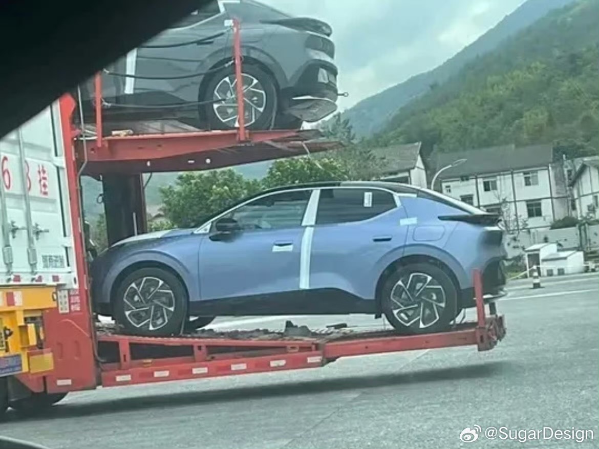 IMG_9971.jpeg IMG_9971.jpeg