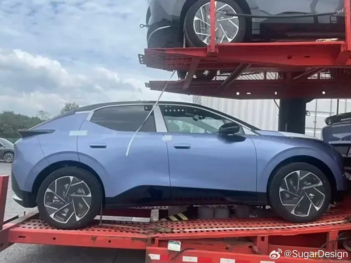 IMG_9972.jpeg IMG_9972.jpeg