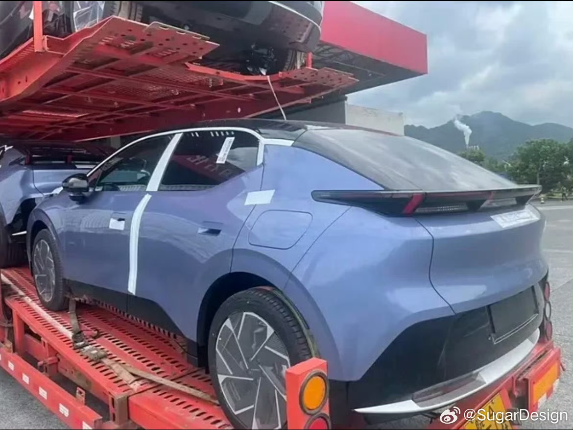 IMG_9975.jpeg IMG_9975.jpeg