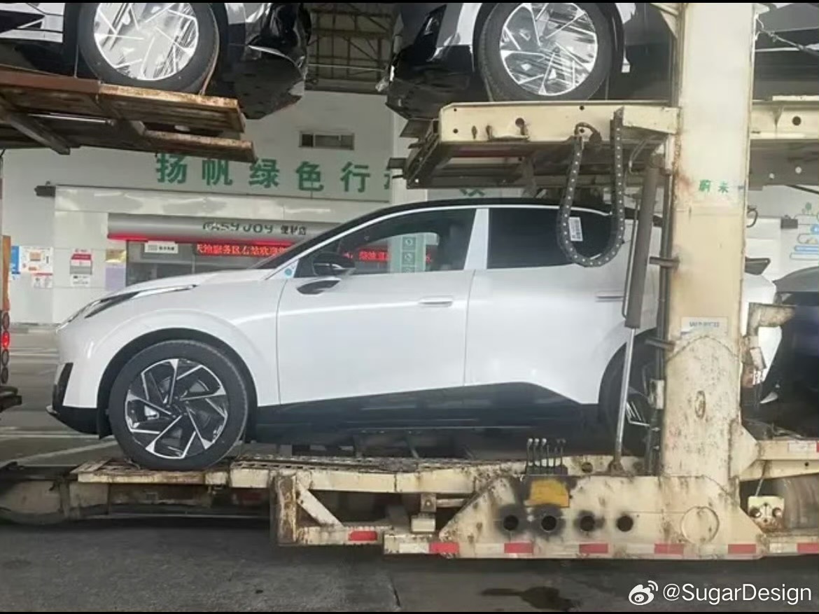 IMG_9976.jpeg IMG_9976.jpeg