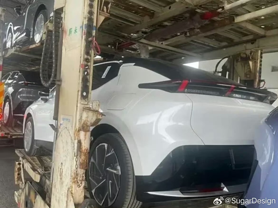 IMG_9977.jpeg IMG_9977.jpeg