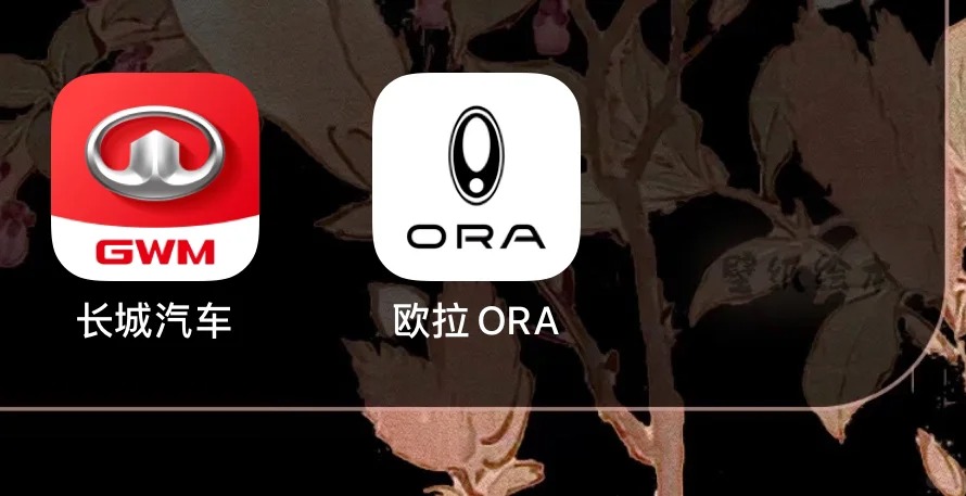 欧拉，天塌了_江門張學友_来自小红书网页版.jpg