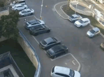 img-1750391210960bf955988ly1i2lit6gdmtg20a007ee82.gif