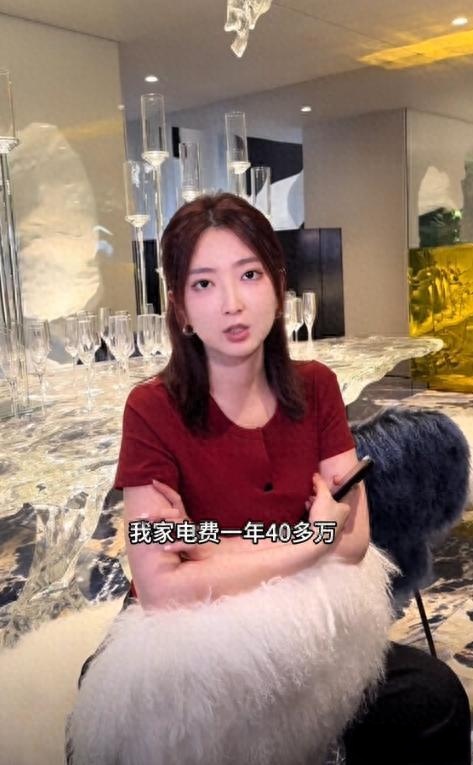 一年电费40万，兰博基尼挂墙，大蓝老婆炫豪宅被禁言