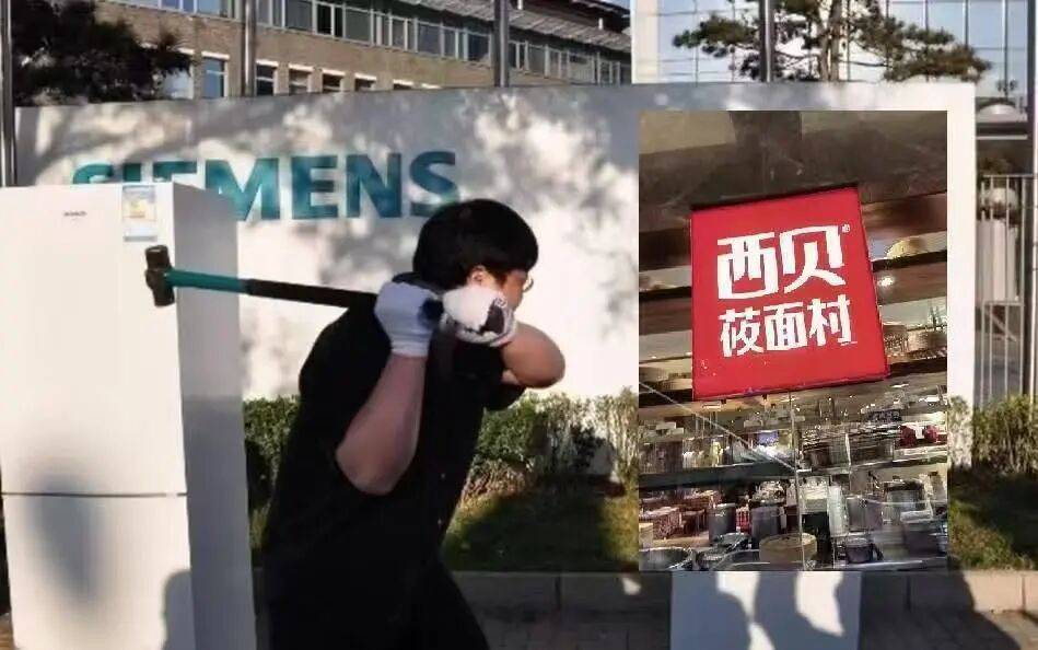 短评：西贝主动引火！罗永浩平A骗大招