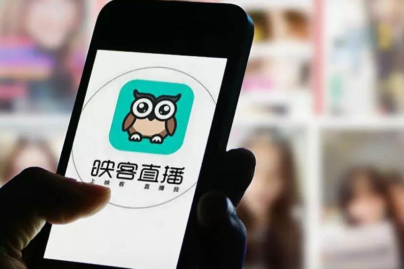 曝映客曾涉违法盲盒项目：事后领导“跑路”，近50名员工坐牢